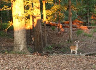 What You Need to Know