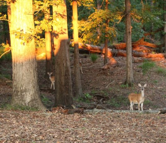 What You Need to Know