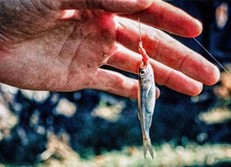 How to Build a DIY Survival Fishing Kit You Can Depend On