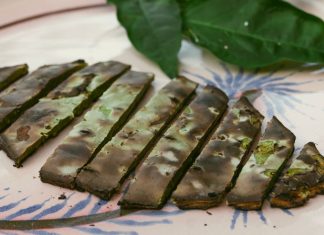 How to Prepare Prickly Pear Cactus Pads