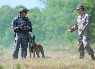 LEAP: The Solution to Language, Culture Barriers in Large-Scale Military Exercises