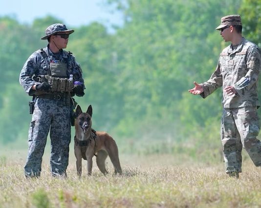 LEAP: The Solution to Language, Culture Barriers in Large-Scale Military Exercises