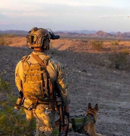 MARSOC Multi-Purpose Canine Handlers Conduct Desert Training