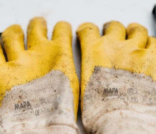 Choosing the Best Survival Gloves