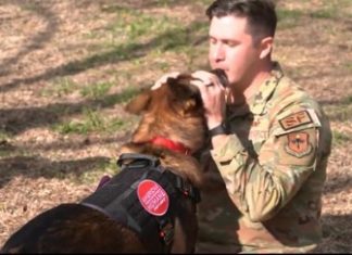 Home for the Holidays: American Humane Reunites Retired Military Working Dog with Former Air Force Handler After Two Years Apart