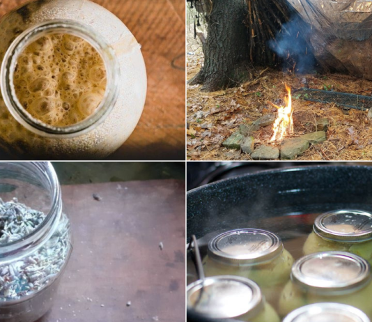 10 Mega-Popular Trends that Preppers Have Brought Back from the Brink of Extinction