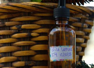 How to Make Wild Lettuce Tincture