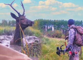 Hunters Drop Their Weapons to Help an Animal in Need