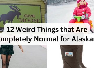 12 Things that Are Completely Normal for Alaskans but Weird for Everyone Else