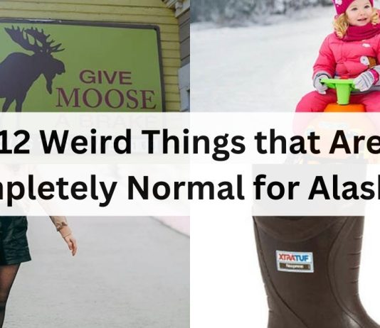 12 Things that Are Completely Normal for Alaskans but Weird for Everyone Else