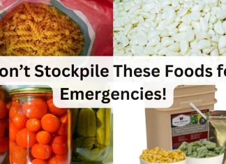 The Experts Are Wrong. Don’t Stockpile These Foods for Emergencies