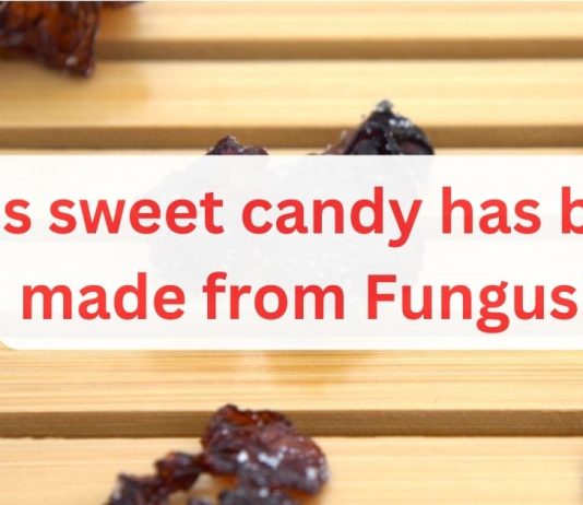 Candying Witches’ Butter: Fun Food From Fungi