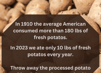 Why Don’t We Eat This Anymore? 7 Old-Fashioned Foods that Used to Be in Everyone’s Pantry