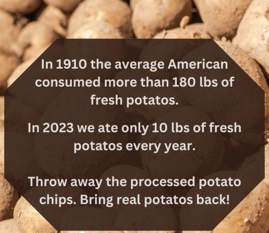 Why Don’t We Eat This Anymore? 7 Old-Fashioned Foods that Used to Be in Everyone’s Pantry