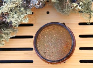 Making Usnea Powder for Your Wilderness First Aid Kit