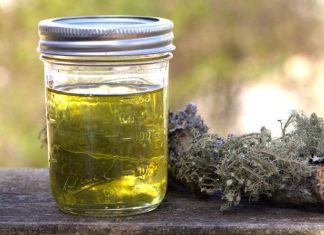 Making Usnea Oil: A Functional Friend for Field and Hearth