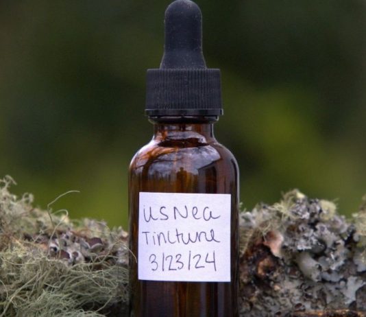 Making Usnea Tincture for a Healthy Homestead When SHTF