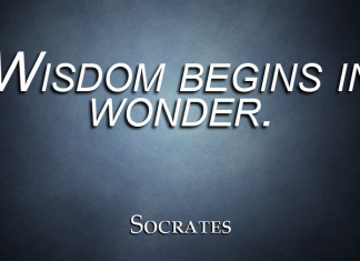 The Role of Wonder in Teaching and Training