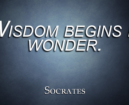 The Role of Wonder in Teaching and Training