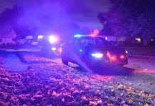 A Halloween Murder and the Spooky Aftermath