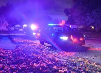 A Halloween Murder and the Spooky Aftermath