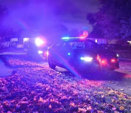 A Halloween Murder and the Spooky Aftermath