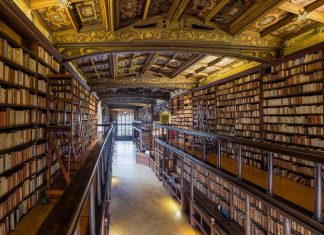 The Best of What I Read-2025