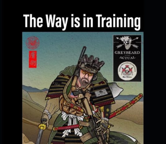 The Way is in Training Podcast Appearance
